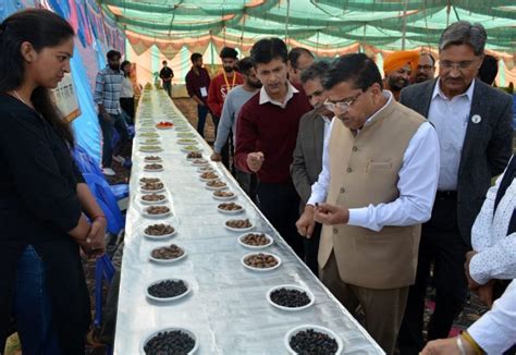 SKUAST paving way for major transformation in agriculture in J&K ...