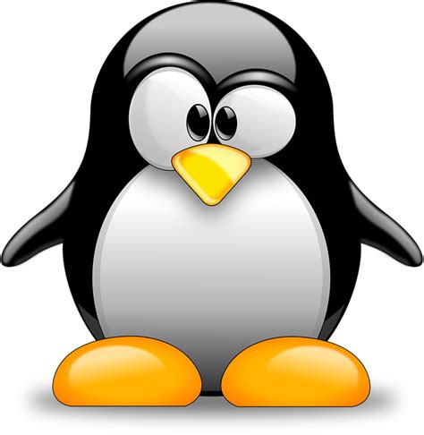 Image result for Linux Transparent Background
