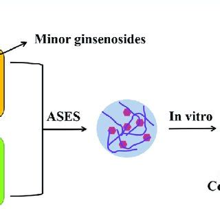 Image result for Button Cell Process Introduction