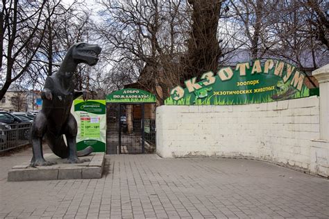Тульский экзотариум отпраздновал День рождения - Новости Тулы и области ...