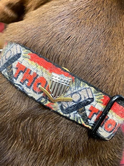 Marquette’s Coast Guard dogs advance ranks, honored in sweet ceremony ...