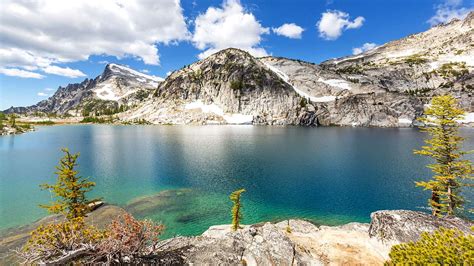 Washington 的图像结果