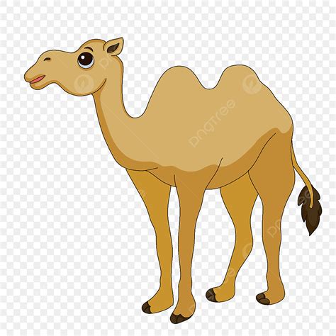 Desert Camel Clipart Transparent PNG Hd, Cute Desert Camel Clip Art ...