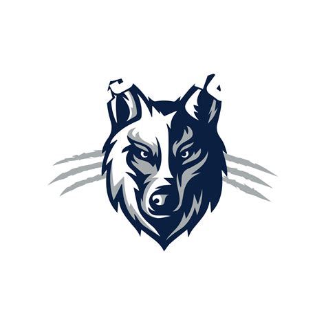 Saanich Predators | VIJHL - Vancouver Island Junior Hockey League