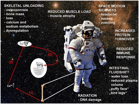 太空 的图像结果