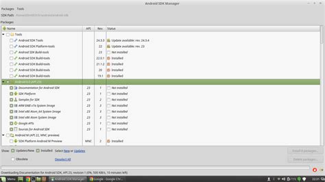 How to Check API Level in Android Studio 的图像结果