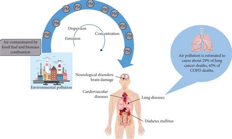 Image result for Particulates Health Effects