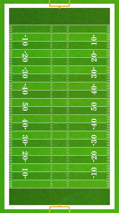 Football Field Wall Mural | 100 Yard Field with End Zone