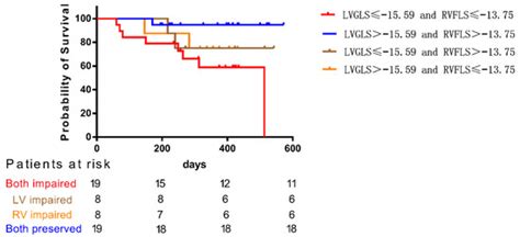 The Balance between the Left and Right Ventricular Deformation ...