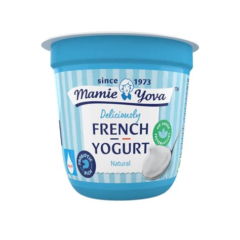 Mamie Yova French Yogurt Natural, 100 g : Amazon.in: Grocery & Gourmet ...