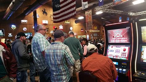 HORSE PALACE (2026) All You Need to Know BEFORE Going (with Photos)