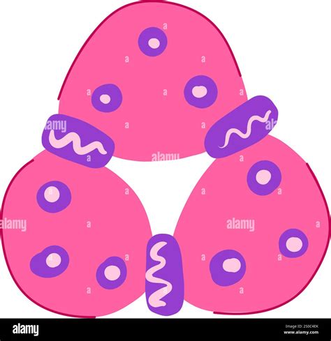 gums teething ring cartoon vector illustration Stock Vector Image & Art - Alamy