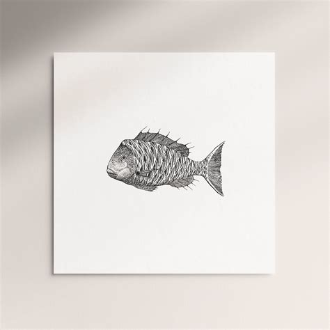 Image result for Long Snapper Card Tricks