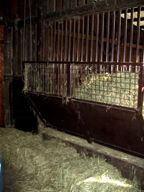 ZooLex Image - Hayrack