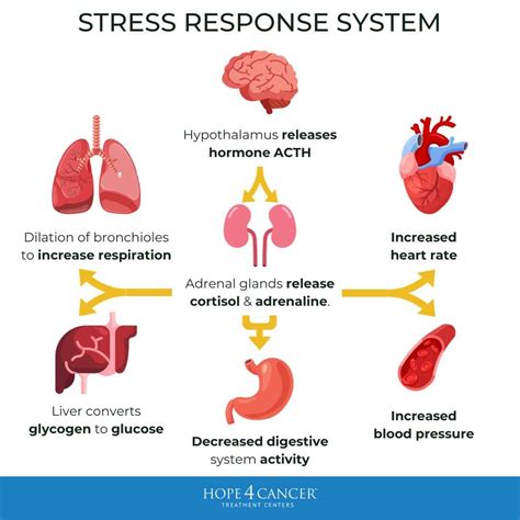 Can Stress Make You Sick?
