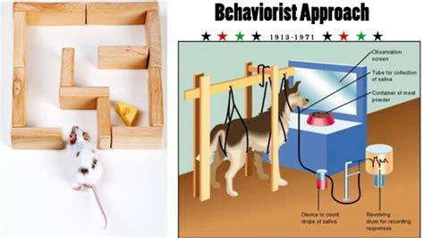 Image result for Behavioral Perspective Examples