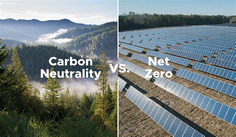 Ryannotbrian New 的图像结果