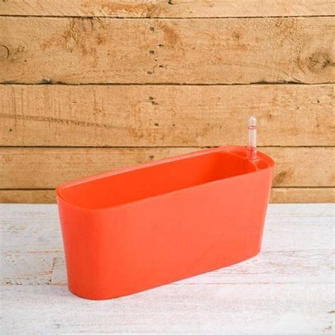 Buy Rectangular Planters online from Nurserylive at lowest price. — Page 2