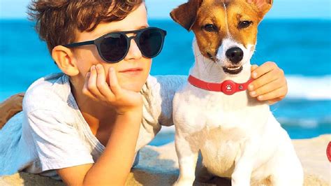 Amazon Great Indian Festival: Top deals on trackers for pets from ...