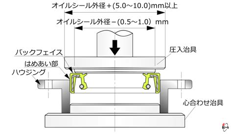 Image result for Ascus Reflex Algorithm