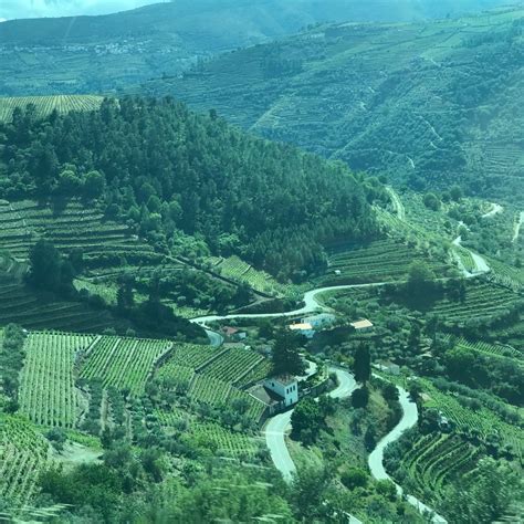 THE BEST Cinfaes Monuments & Statues (2026) - with Reviews