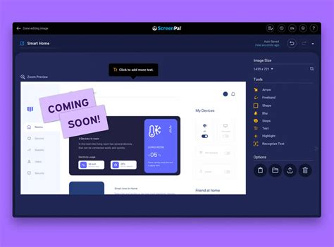 Software Demo Video Examples 的图像结果
