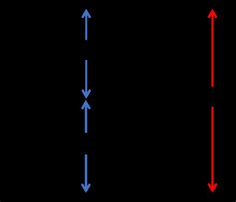 Image result for Explain Split Phase