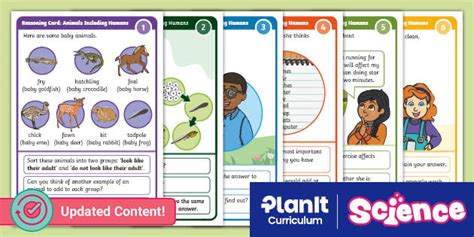 Science: Animals Including Humans: Reasoning Cards Year 2