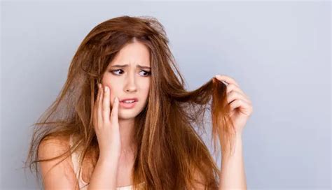 6 Major Signs of Damaged Hair and Tips To Repair Them - lifeberrys.com