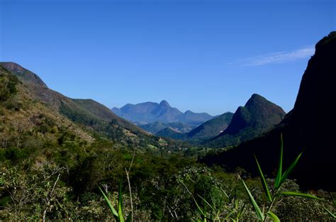 Protection of Ecosystem 的图像结果