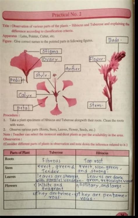 Practical No. 2Title : Observation of various parts of the plants ...