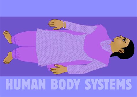 Human-body-systems - Its lecture notes - 1 HU MAN BOD Y SYSTEMS - Studocu