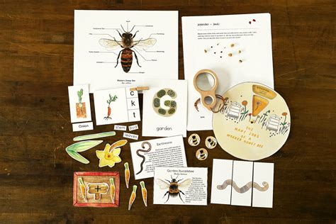 Our Nature-Based Homeschool Curriculum and Resource Picks: Preschool ...