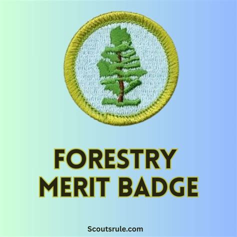 Reading Merit Badge Guide - Scouts Rule