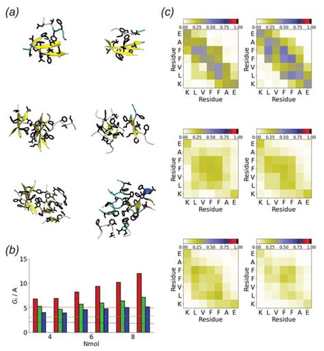 Aggregation of an Amyloidogenic Peptide on Gold Surfaces