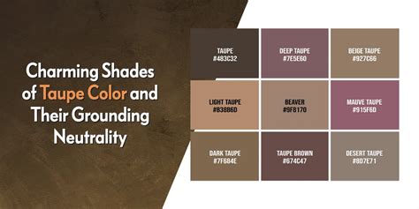 Charming Shades of Taupe Color and Their Grounding Neutrality