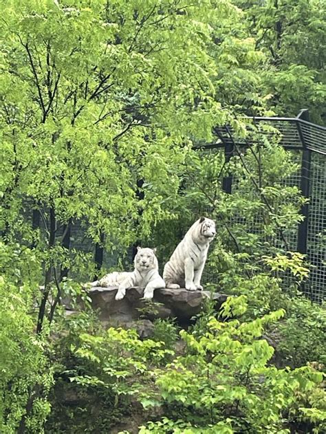 南京红山森林动物园 - 搜狗百科