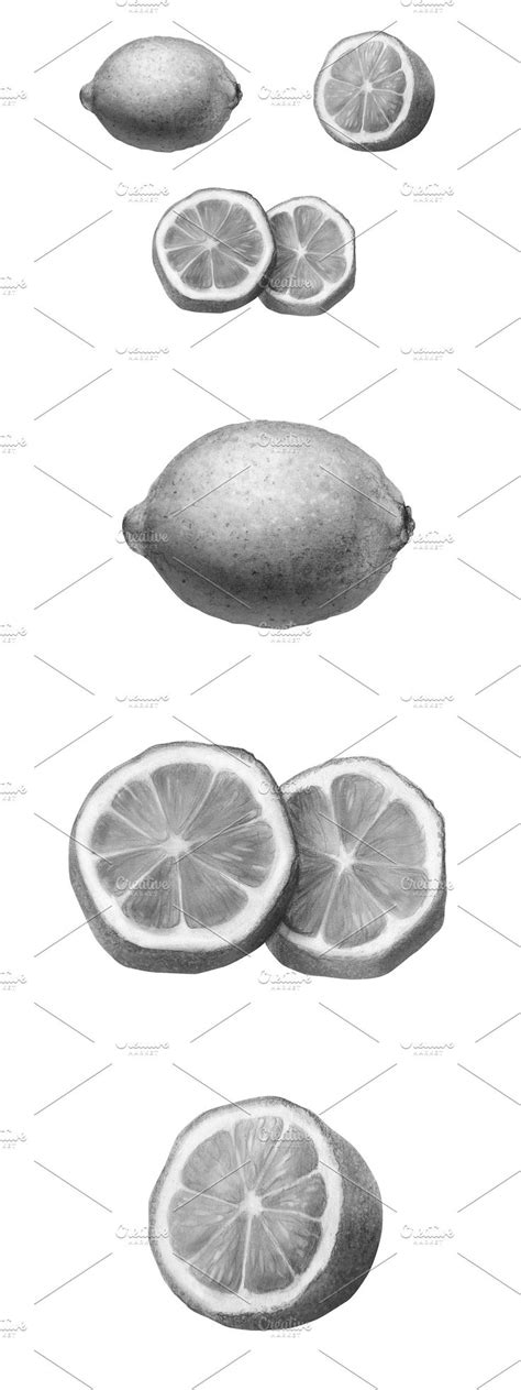Image result for Lemon Shadow Drawing