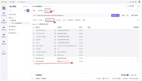 Deepseek API Key in the Code 的图像结果