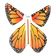 Image result for Magic Flying Butterfly Pattern
