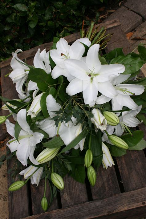 Funeral Flowers White Lilies at Tamisha Hose blog