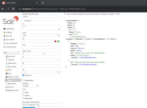 Image result for Solr Engine Search Query