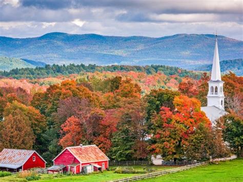 Crime 的图像结果