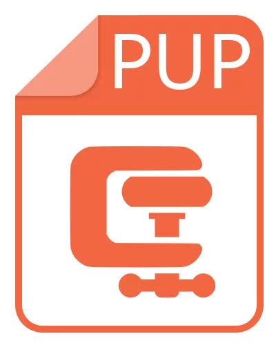 Image result for Open PUP File