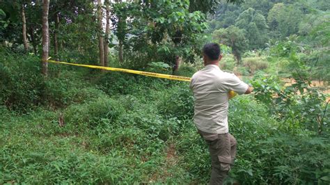 Dilaporkan Warga, Tambang Emas Ilegal Sungai Cikaso Disidak Tim ...