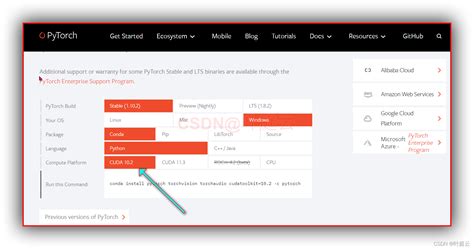 Python Import Torch Windows 的图像结果