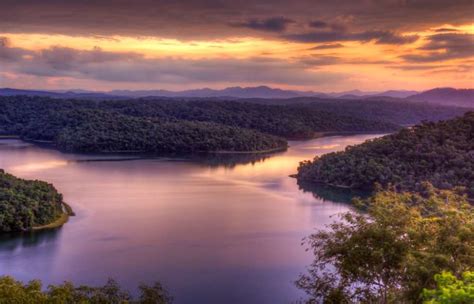 Atlantic Forest South-East Reserves, Brazil - TimesTravel