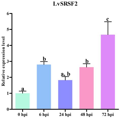 The Involvement of LvSRSF2 in Circular RNA Biogenesis and Its Role in ...