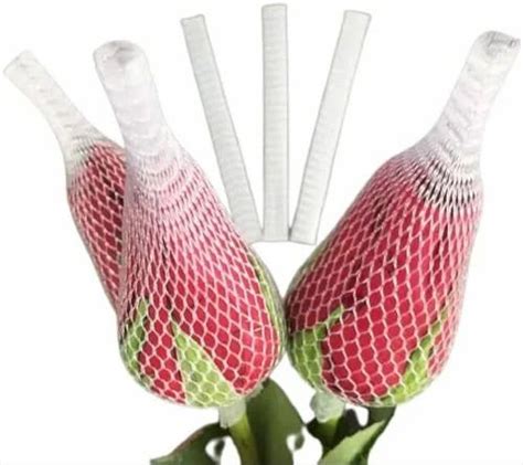 Bud Net - Flower Bud Net Manufacturer from Nagpur