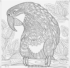 ausmalbild indianer mandala ausmalbilder mandala f 252 r erwachsene tiere beispielbilder ausmalbild indianer mandala ausmalbilder mandala f 252 r erwachsene tiere beispielbilder